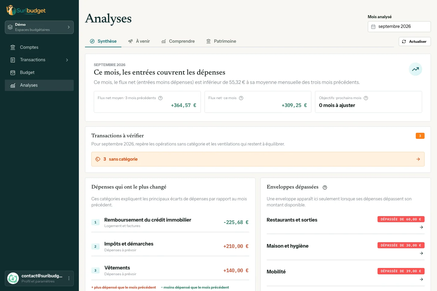 Aperçu de la page Analyses de Suribudget